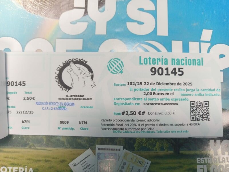 Lotería Navideña